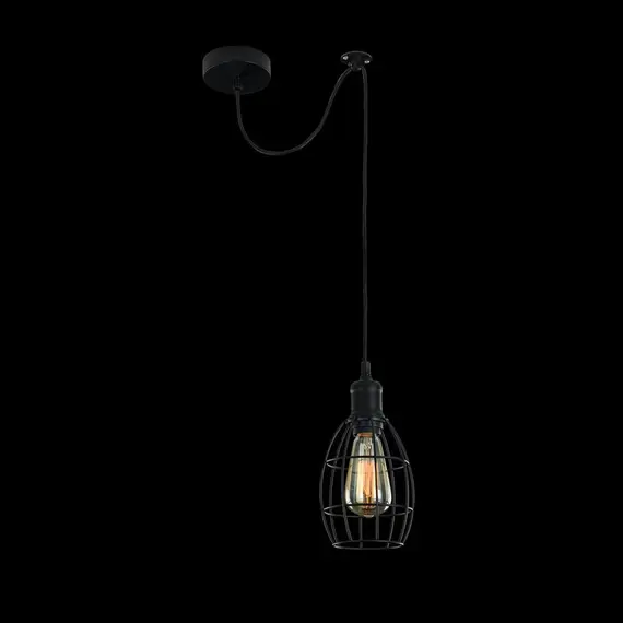 Подвесной светильник Maytoni Denver T447-PL-01-B, изображение 4