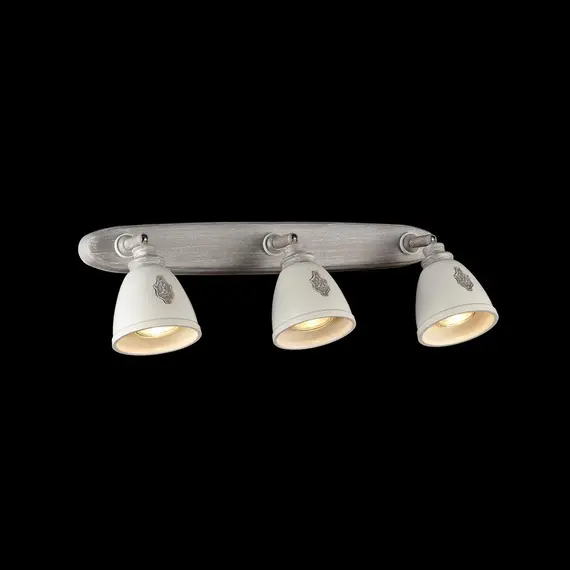 Спот Maytoni Agnes SP289-CW-03-BG, изображение 4