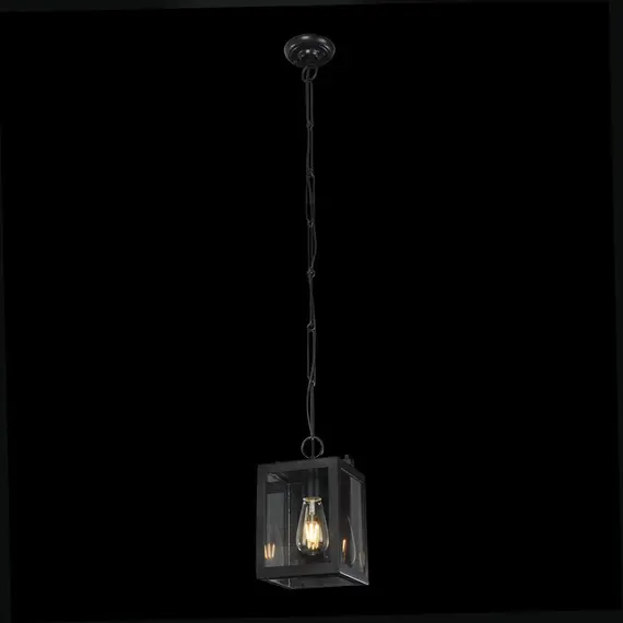 Подвесной светильник Maytoni Delphi T354-PL-01-B, изображение 4