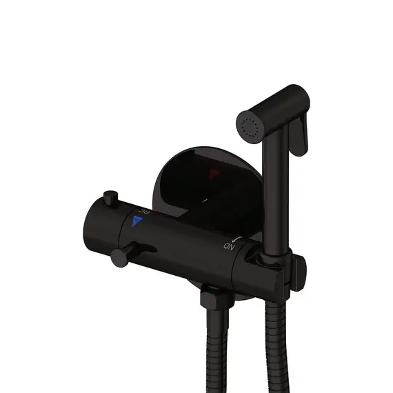 Встроенный гигиенический душ со смесителем для биде Rose R915H