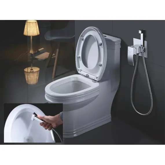 Смеситель с гигиеническим душем Rose R1505F, изображение 2