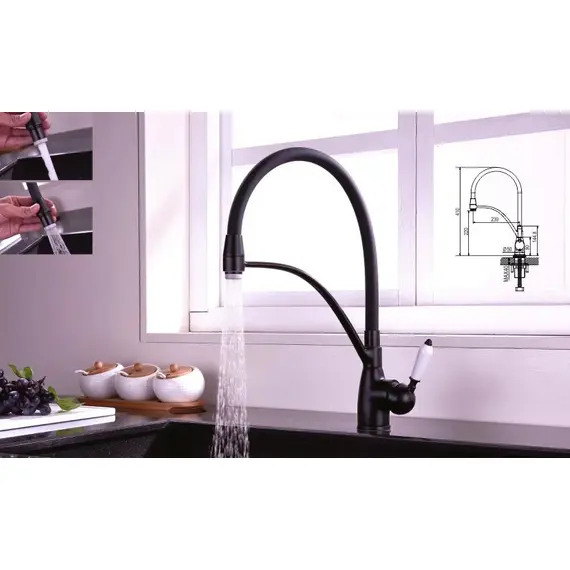 Смеситель для кухни с гибким изливом Rose R153H, изображение 2