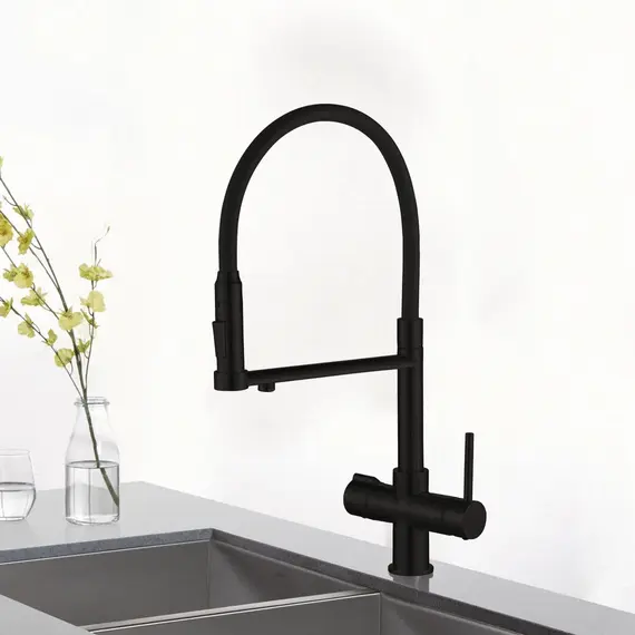 Смеситель для кухни с гибким изливом Rose R758H черный, изображение 2