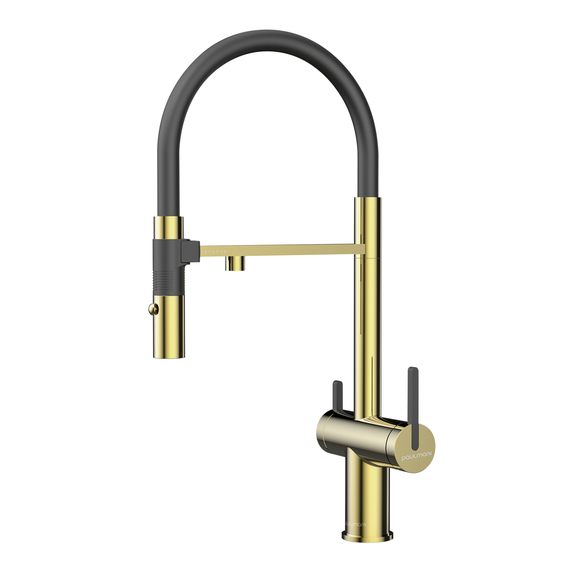 Смеситель для кухни Paulmark Starke Gravity Gr213888-G под фильтр с гибким изливом золото