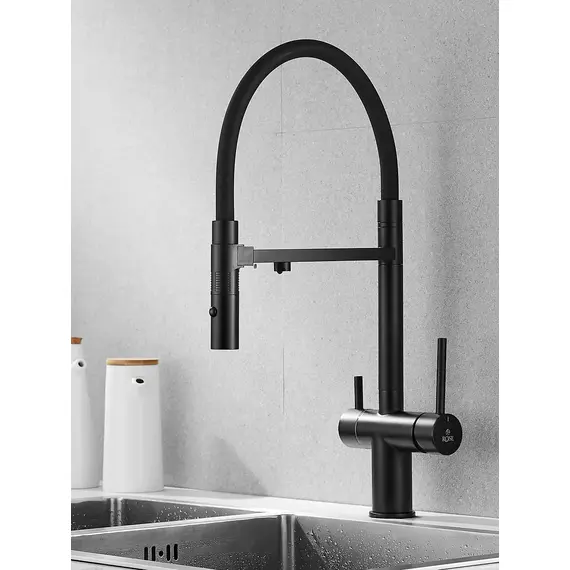 Смеситель для кухни с гибким изливом и фильтром Rose R958H