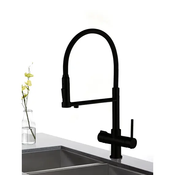 Смеситель для кухни с гибким изливом и фильтром Rose R758H