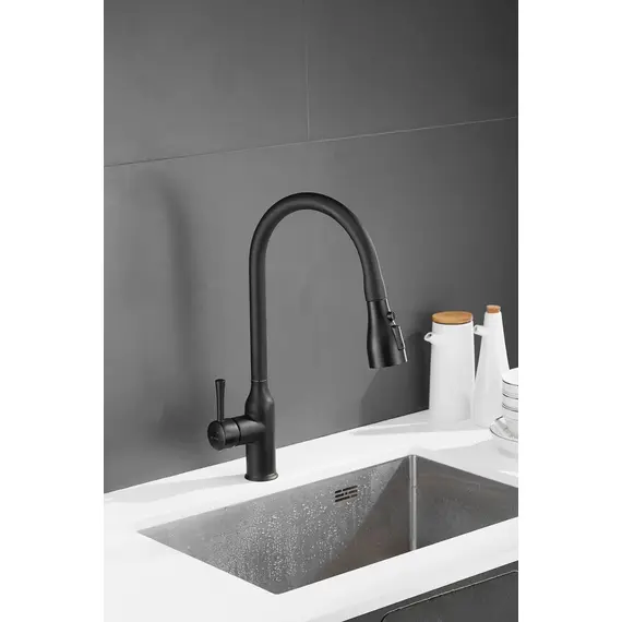 Смеситель для кухни с выдвижной лейкой душ Shevanik S163H черный, изображение 18