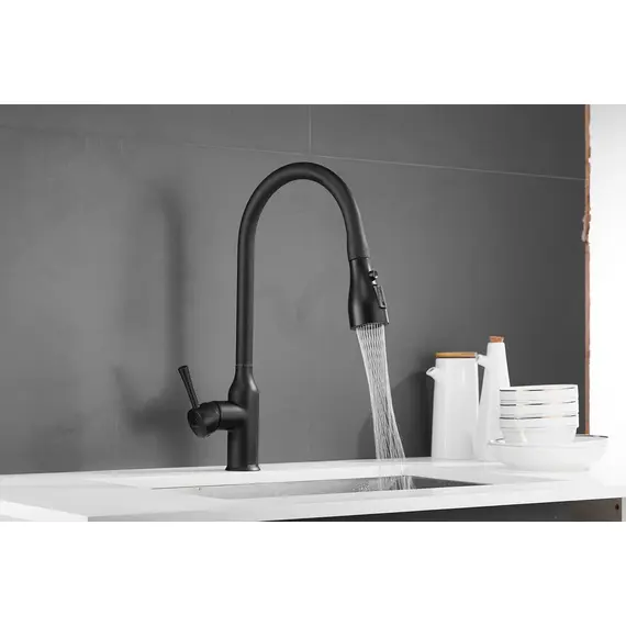Смеситель для кухни с выдвижной лейкой душ Shevanik S163H черный, изображение 15