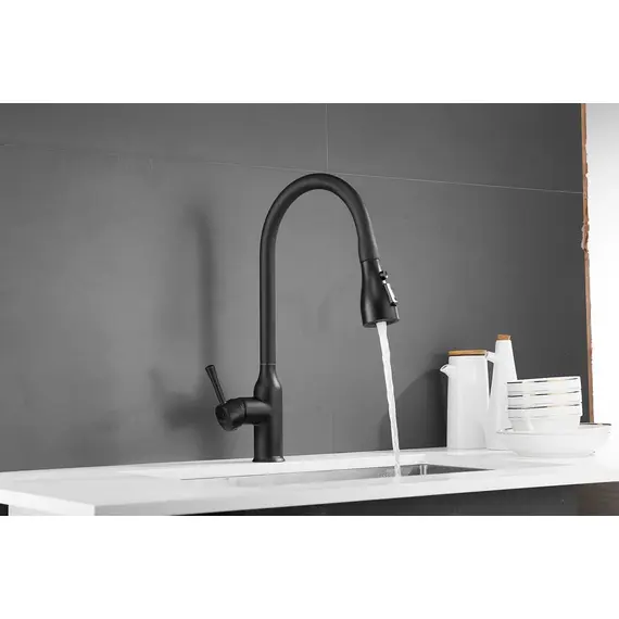 Смеситель для кухни с выдвижной лейкой душ Shevanik S163H черный, изображение 30