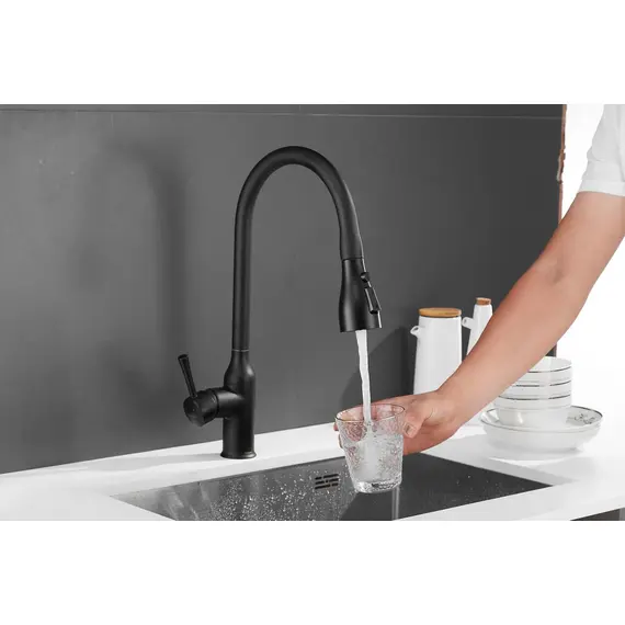 Смеситель для кухни с выдвижной лейкой душ Shevanik S163H черный, изображение 28