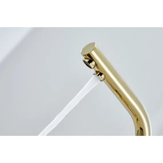 Смеситель для кухни Paulmark Essen Es213011-G золото, изображение 12