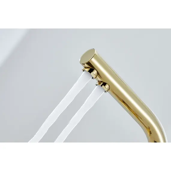 Смеситель для кухни Paulmark Essen Es213011-G золото, изображение 13