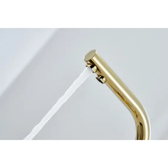 Смеситель для кухни Paulmark Essen Es213011-G золото, изображение 11