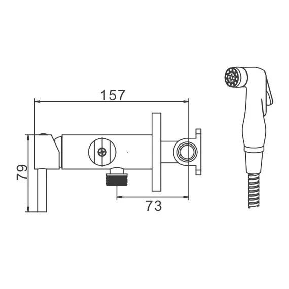 Смеситель с гигиеническим душем Ledeme L5398-2 хром, изображение 2