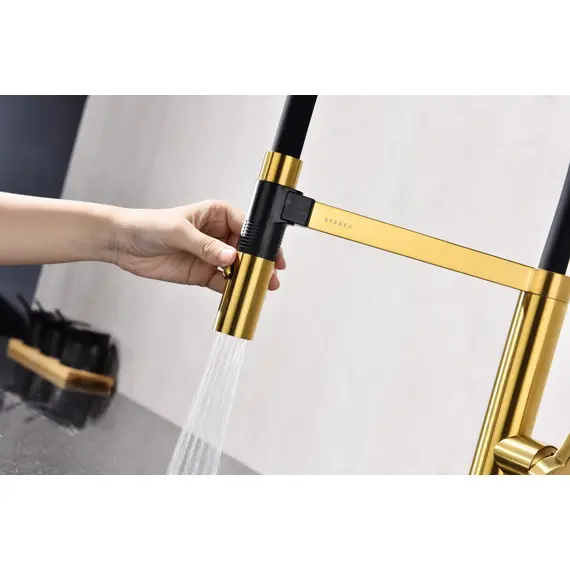 Смеситель для кухни Paulmark Leader Starke Le214101-BG брашированное золото, изображение 10