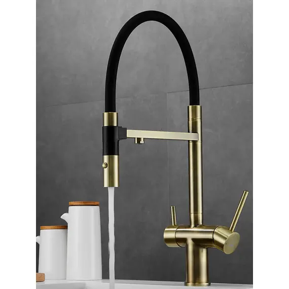 Смеситель для кухни с гибким изливом Rose R958Q, изображение 2