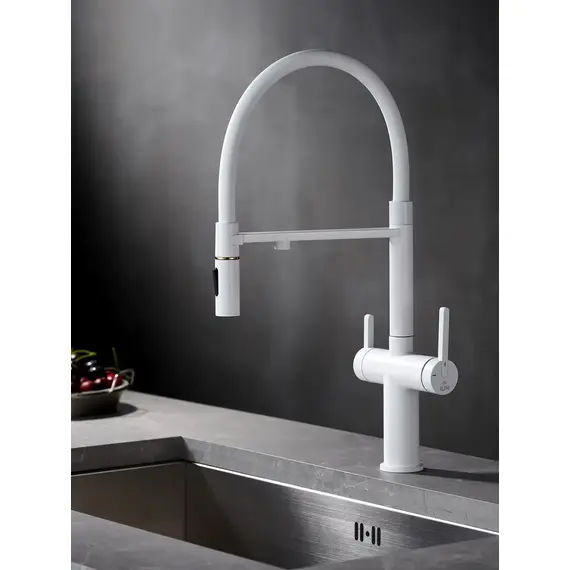 Смеситель для кухни с гибким изливом и фильтром Rose R458C