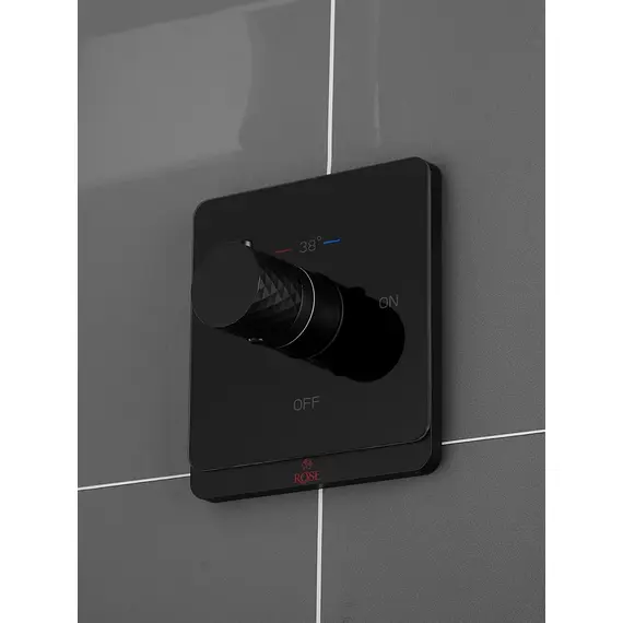 Встроенный гигиенический душ со смесителем для биде Rose R105H, изображение 4