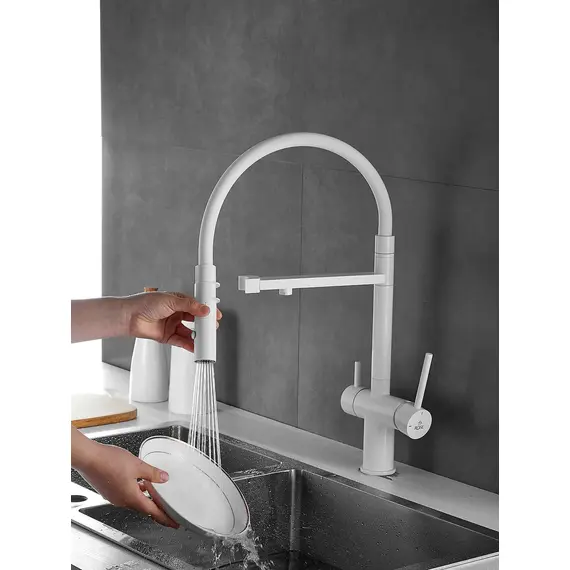 Смеситель для кухни с гибким изливом и фильтром Rose R958C, изображение 10