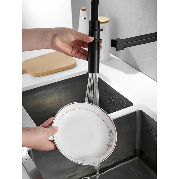 Смеситель для кухни с гибким изливом и душем Rose R133H, изображение 11