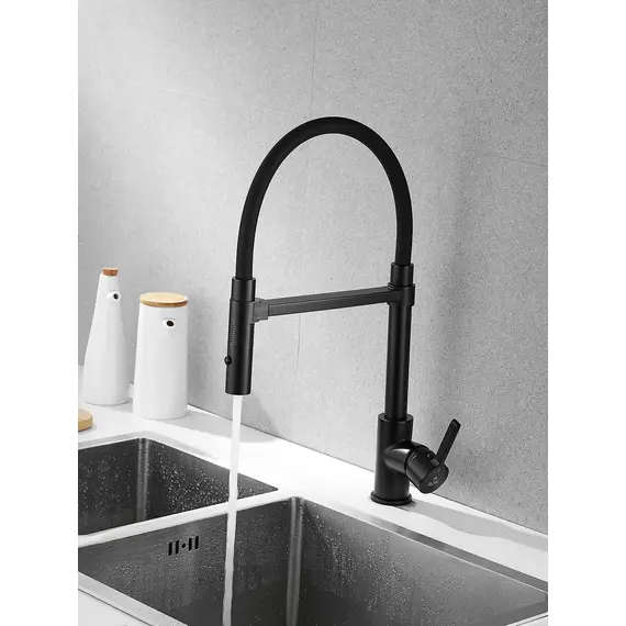 Смеситель для кухни с гибким изливом и душем Rose R133H, изображение 2