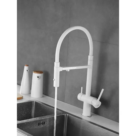 Смеситель для кухни с гибким изливом и фильтром Rose R958C, изображение 2