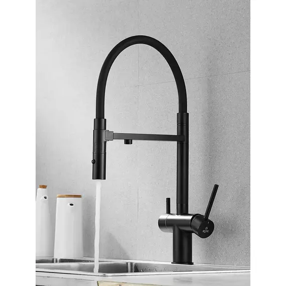 Смеситель для кухни с гибким изливом и фильтром Rose R958H, изображение 2