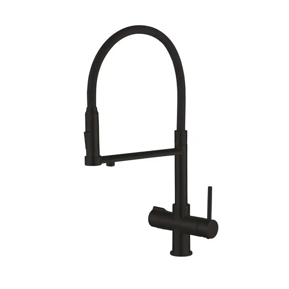 Смеситель для кухни с гибким изливом и фильтром Rose R758H, изображение 2