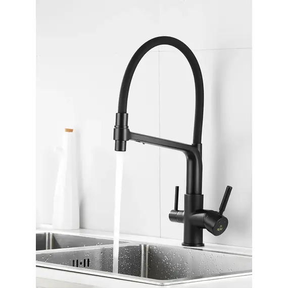 Смеситель для кухни с гибким изливом и фильтром Rose R658H, изображение 2