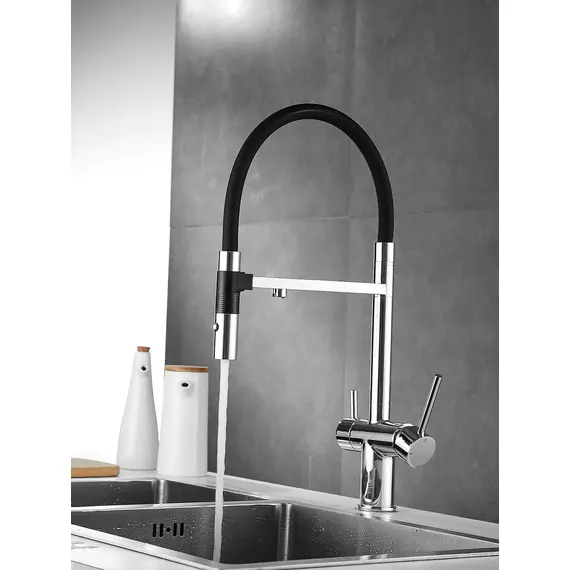 Смеситель для кухни с гибким изливом и фильтром Rose R958, изображение 2