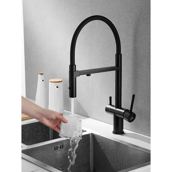 Смеситель для кухни с гибким изливом и фильтром Rose R958H, изображение 3