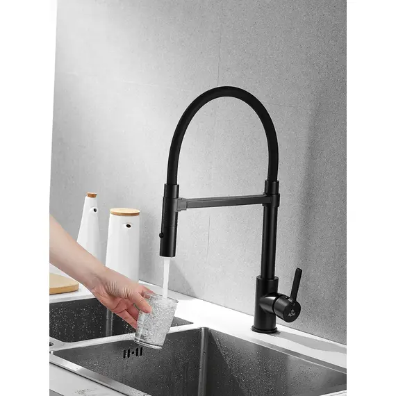 Смеситель для кухни с гибким изливом и душем Rose R133H, изображение 3