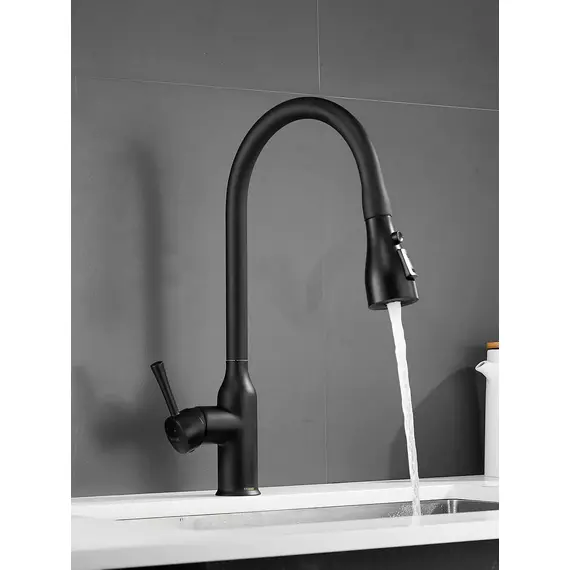 Однорычажный смеситель для кухни с выдвижной лейкой Shevanik S163H, изображение 3