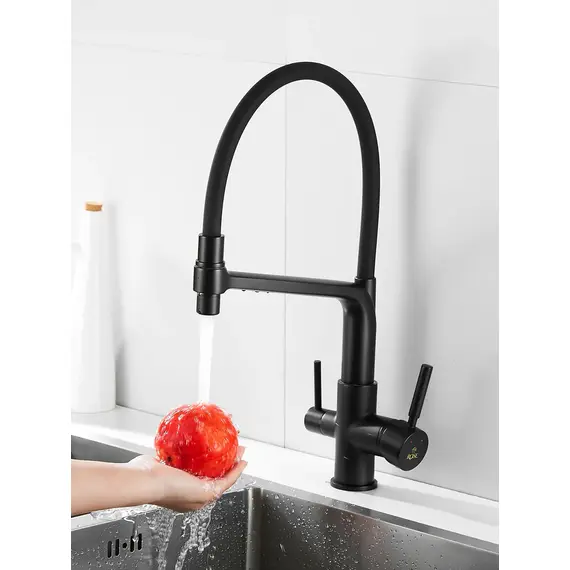 Смеситель для кухни с гибким изливом и фильтром Rose R658H, изображение 3