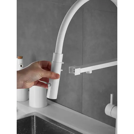 Смеситель для кухни с гибким изливом и фильтром Rose R958C, изображение 4