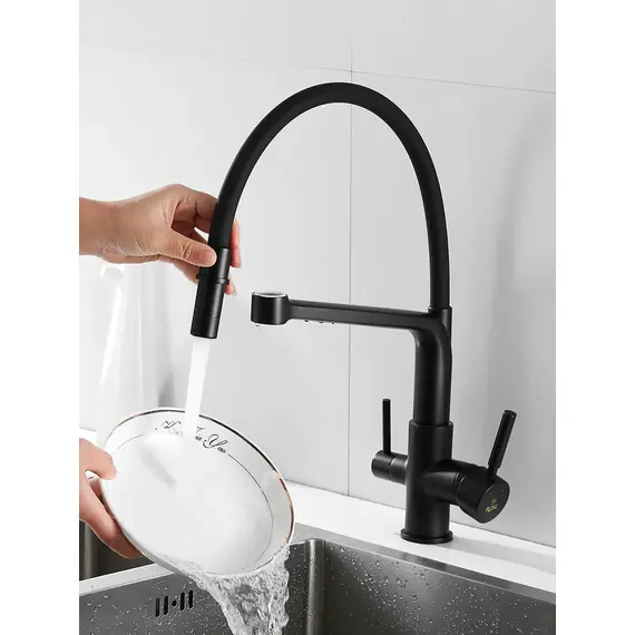 Смеситель для кухни с гибким изливом и фильтром Rose R658H, изображение 5