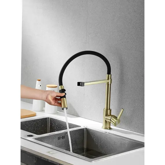 Смеситель для кухни с гибким изливом и душем Rose R133Q, изображение 8