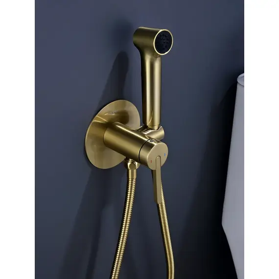 Встроенный гигиенический душ со смесителем для биде Rose R235G, изображение 2