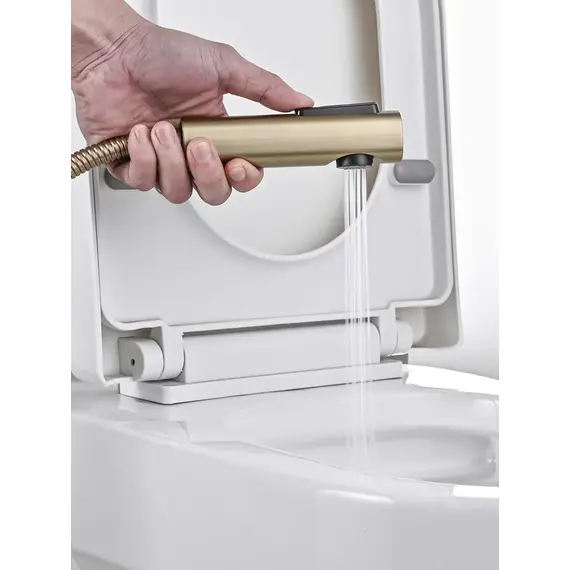 Гигиенический душ со смесителем для туалета (биде) Rose R1805G-1, изображение 9