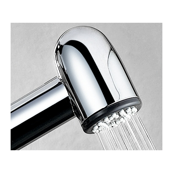Гигиеническая лейка с фиксатором WasserKRAFT A043
