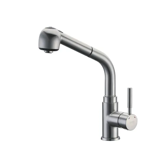 Смеситель для кухни с выдвижной лейкой WasserKRAFT Wern 4266