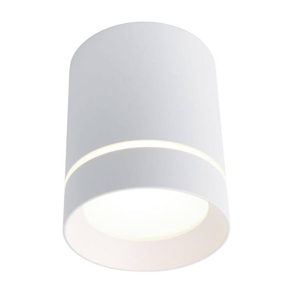 Потолочный светодиодный светильник Arte Lamp A1909PL-1WH