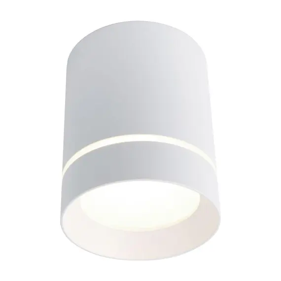 Потолочный светодиодный светильник Arte Lamp A1909PL-1WH