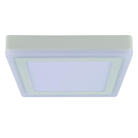 Потолочный светодиодный светильник Arte Lamp Altair A7716PL-2WH