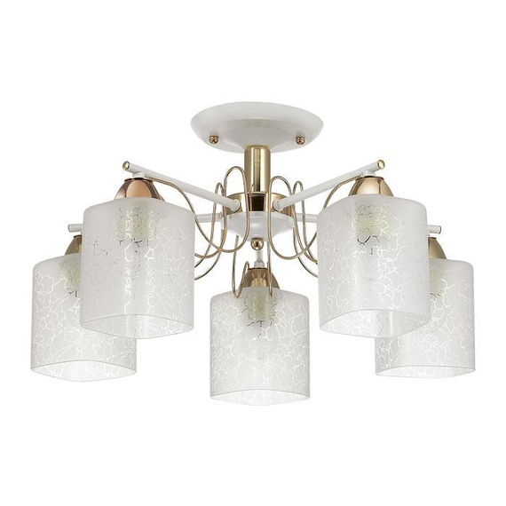 Потолочная люстра Lumion Opicus 3508/5C