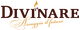 Divinare логотип бренда светильников